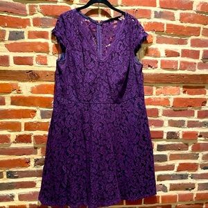 Purple Lace Adrianna Papell cocktail dress